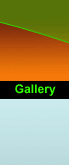 SignRave gallery